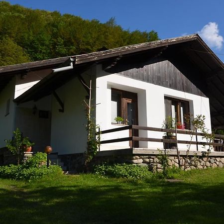 Вила Даяна Ribarica Kültér fotó