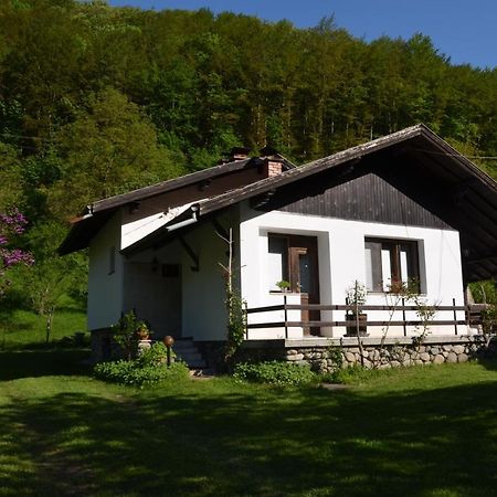 Вила Даяна Ribarica Kültér fotó